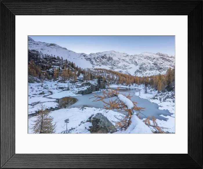 Framed Print : Red larches frame the frozen Lake Mufule, Malenco Valley, Province of Sondrio, Valtellina Framed Print : Red larches frame the frozen Lake Mufule, Malenco Valley, Province of Sondrio, Valtellina