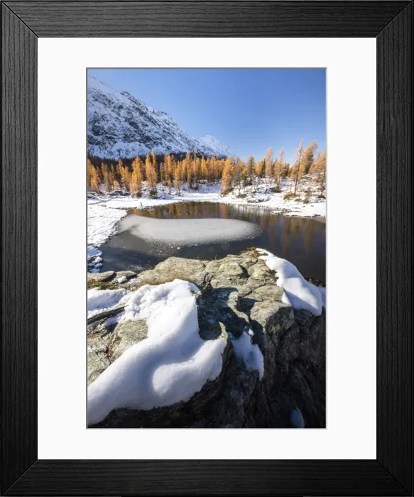 Framed Print : Red larches frame the frozen Lake Mufule, Malenco Valley, Province of Sondrio, Valtellina Framed Print : Red larches frame the frozen Lake Mufule, Malenco Valley, Province of Sondrio, Valtellina