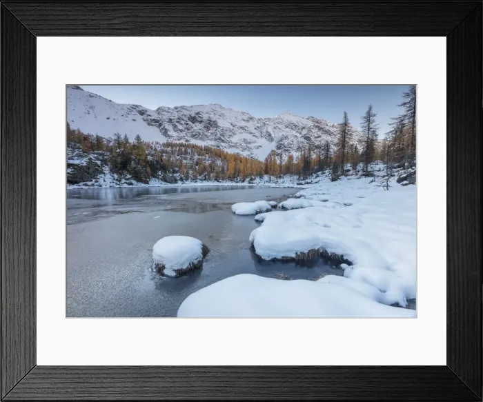 Framed Print : Red larches frame the frozen Lake Mufule, Malenco Valley, Province of Sondrio, Valtellina Framed Print : Red larches frame the frozen Lake Mufule, Malenco Valley, Province of Sondrio, Valtellina