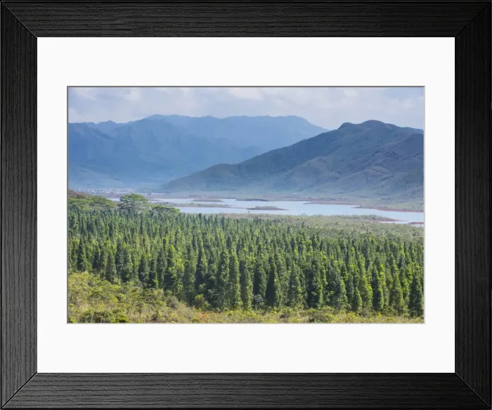 Framed Print : View over the Blue River Provincial Park, Yate, New Caledonia, Pacific