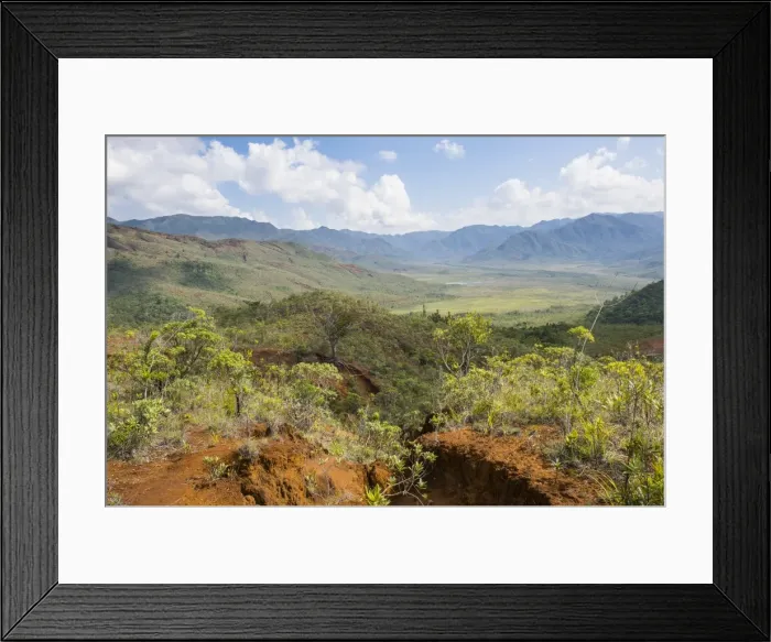 Framed Print : View over the Blue River Provincial Park, Yate, New Caledonia, Pacific Framed Print : View over the Blue River Provincial Park, Yate, New Caledonia, Pacific