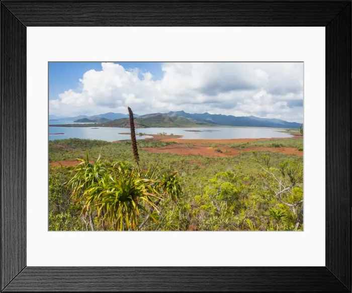 Framed Print : Overlook over the Blue River Provincial Park, Yate, New Caledonia, Pacific Framed Print : Overlook over the Blue River Provincial Park, Yate, New Caledonia, Pacific