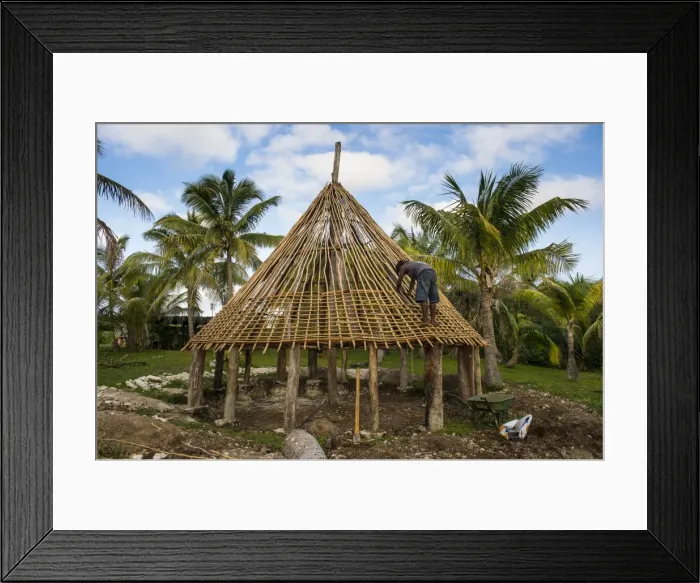 Framed Print : Construction of a traditional house, Ouvea, Loyalty Islands, New Caledonia, Pacific Framed Print : Construction of a traditional house, Ouvea, Loyalty Islands, New Caledonia, Pacific