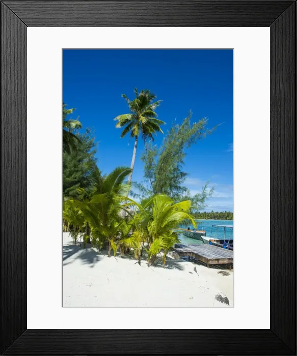 Framed Print : White sand beach on a Motu, Bora Bora, Society Islands, French Polynesia, Pacific Framed Print : White sand beach on a Motu, Bora Bora, Society Islands, French Polynesia, Pacific