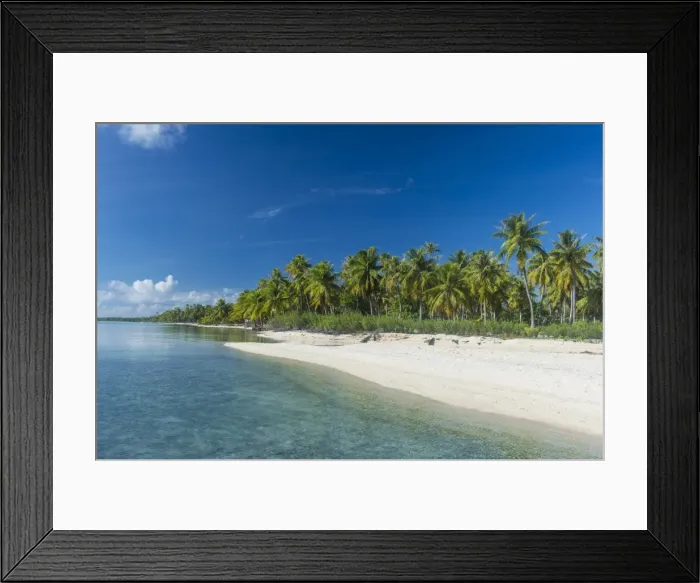 Framed Print : Beautiful palm fringed white sand beach in the turquoise waters of Tikehau, Tuamotus Framed Print : Beautiful palm fringed white sand beach in the turquoise waters of Tikehau, Tuamotus