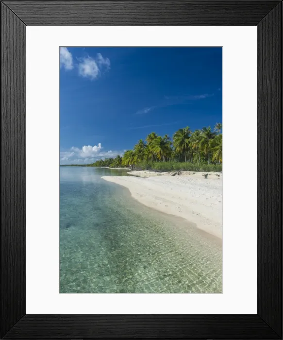 Framed Print : Beautiful palm fringed white sand beach in the turquoise waters of Tikehau, Tuamotus Framed Print : Beautiful palm fringed white sand beach in the turquoise waters of Tikehau, Tuamotus
