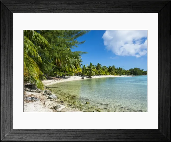 Framed Print : Beautiful palm fringed white sand beach in the turquoise waters of Tikehau, Tuamotus Framed Print : Beautiful palm fringed white sand beach in the turquoise waters of Tikehau, Tuamotus