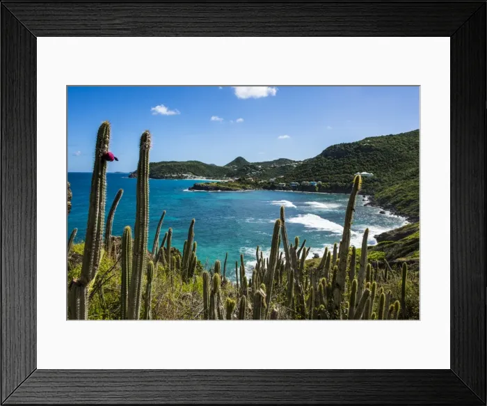 Framed Print : View over the coastline of St. Barth (Saint Barthelemy), Lesser Antilles, West Indies Framed Print : View over the coastline of St. Barth (Saint Barthelemy), Lesser Antilles, West Indies