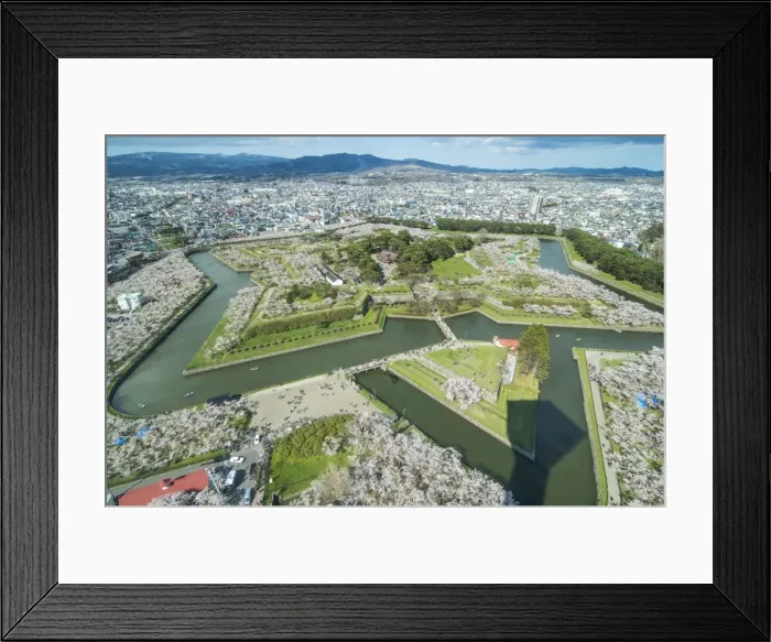 Framed Print : Star shaped Fort Goryokaku in the cherry blossom, Hakodate, Hokkaido, Japan, Asia Framed Print : Star shaped Fort Goryokaku in the cherry blossom, Hakodate, Hokkaido, Japan, Asia