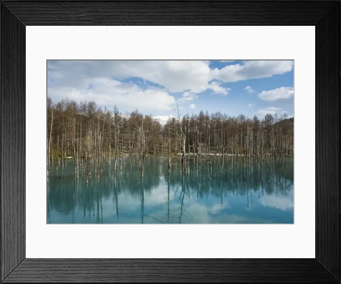 Framed Print : Blue Pond (Aoi Ike), Daisetsuzan National Park, UNESCO World Heritage Site, Hokkaido Framed Print : Blue Pond (Aoi Ike), Daisetsuzan National Park, UNESCO World Heritage Site, Hokkaido