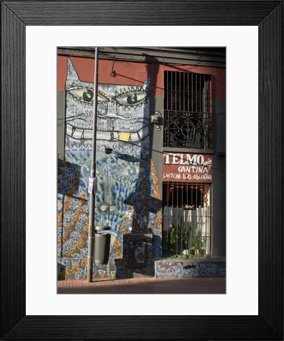 Framed Print : The old barrio of San Telmo, Buenos Aires, Argentina, South America