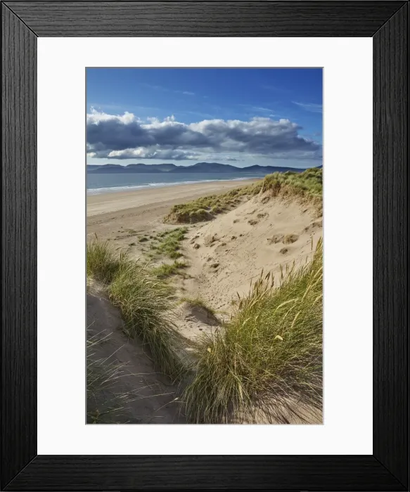 Framed Print : Sand dunes on Rossbeigh beach, Ring of Kerry, County Kerry, Munster, Republic of Ireland Framed Print : Sand dunes on Rossbeigh beach, Ring of Kerry, County Kerry, Munster, Republic of Ireland
