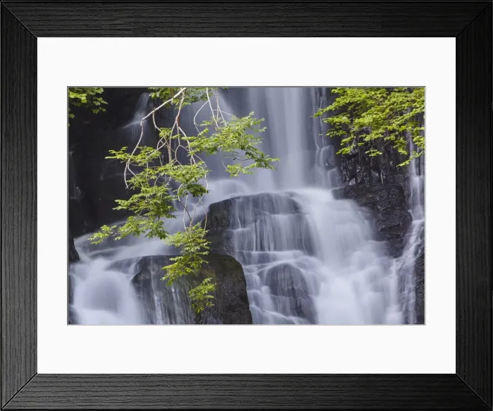 Framed Print : Torc Waterfall, Killarney National Park, near Killarney, County Kerry, Munster, Republic of Ireland Framed Print : Torc Waterfall, Killarney National Park, near Killarney, County Kerry, Munster, Republic of Ireland