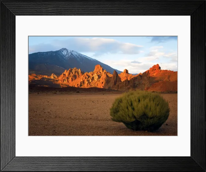 Framed Print : Teide National Park, UNESCO World Heritage Site, Tenerife, Canary Islands, Spain, Europe Framed Print : Teide National Park, UNESCO World Heritage Site, Tenerife, Canary Islands, Spain, Europe
