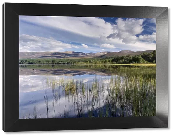 Loch Morlich, Glenmore, Badenoch and Strathspey, Scotland, United Kingdom, Europe
