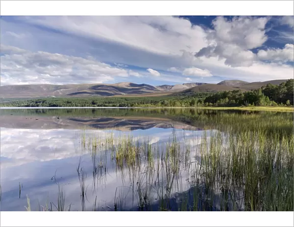 Loch Morlich, Glenmore, Badenoch and Strathspey, Scotland, United Kingdom, Europe
