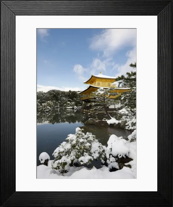 Framed Print : Kinkaku-ji Temple (Golden Pavilion), UNESCO World Heritage Site, in winter, Kyoto Framed Print : Kinkaku-ji Temple (Golden Pavilion), UNESCO World Heritage Site, in winter, Kyoto
