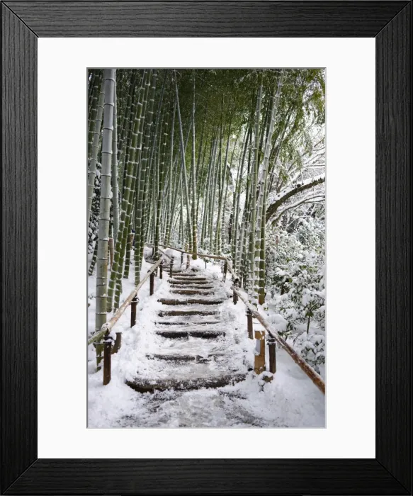 Framed Print : Snowy path in bamboo forest, Kodai-ji temple, Kyoto, Japan, Asia Framed Print : Snowy path in bamboo forest, Kodai-ji temple, Kyoto, Japan, Asia