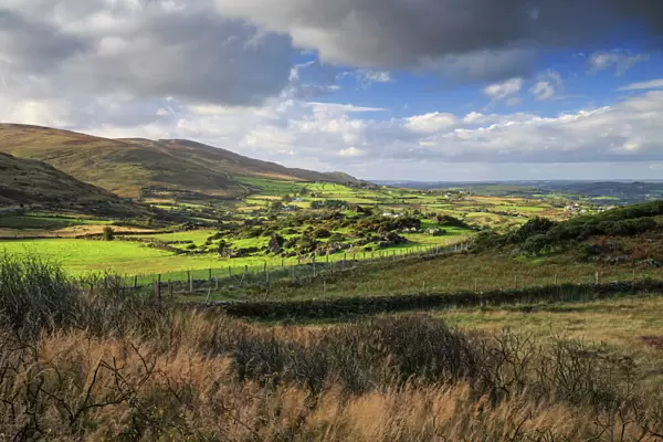 Cooley Mountains, County Louth, Leinster, Republic of Ireland, Europe