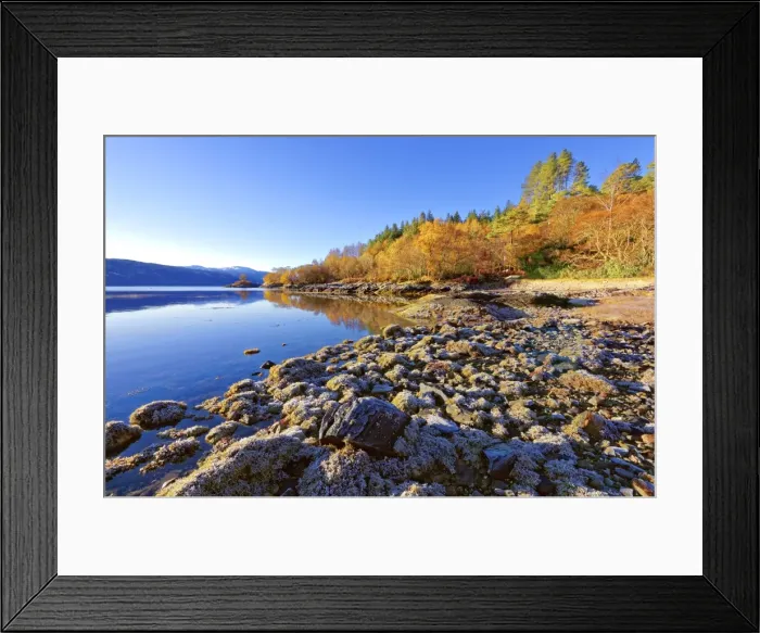 Framed Print : An autumn view on a calm sunny morning along the banks of Loch Sunart in the Ardnamurchan Peninsula Framed Print : An autumn view on a calm sunny morning along the banks of Loch Sunart in the Ardnamurchan Peninsula