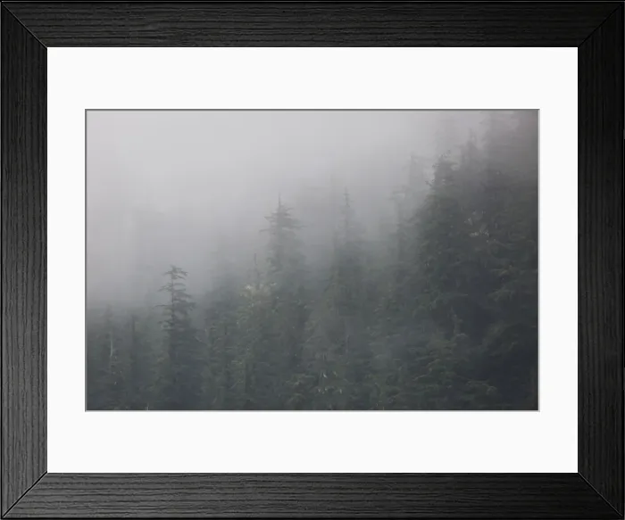 Framed Print : Chugach National Forest, Alaska, United States of America, North America Framed Print : Chugach National Forest, Alaska, United States of America, North America