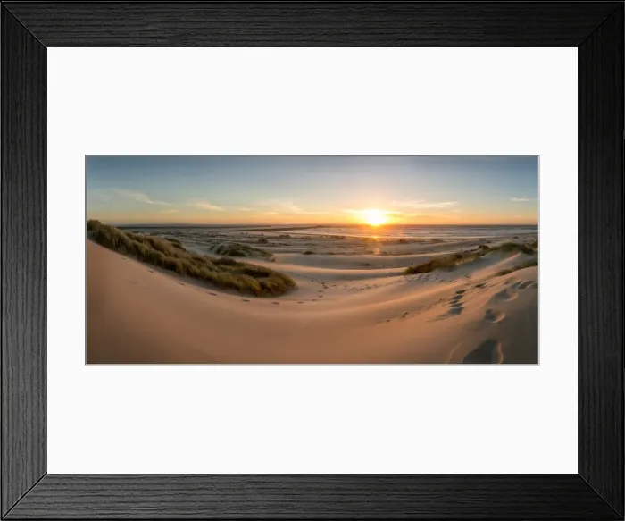 Framed Print : Sand dunes, grass, and driftwood at sunset on the Oregon coast, Oregon, United States of America Framed Print : Sand dunes, grass, and driftwood at sunset on the Oregon coast, Oregon, United States of America