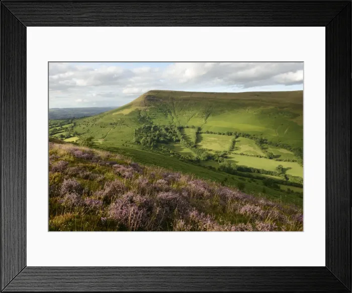 Framed Print : Flowering heather on Mynydd Llangorse with a view towards Mynydd Troed in the Brecon Beacons