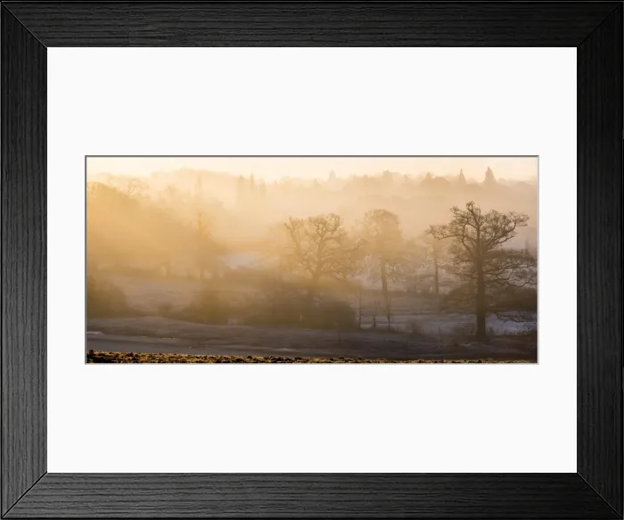 Framed Print : Winter trees in misty panorama, Surrey, England, United Kingdom, Europe Framed Print : Winter trees in misty panorama, Surrey, England, United Kingdom, Europe
