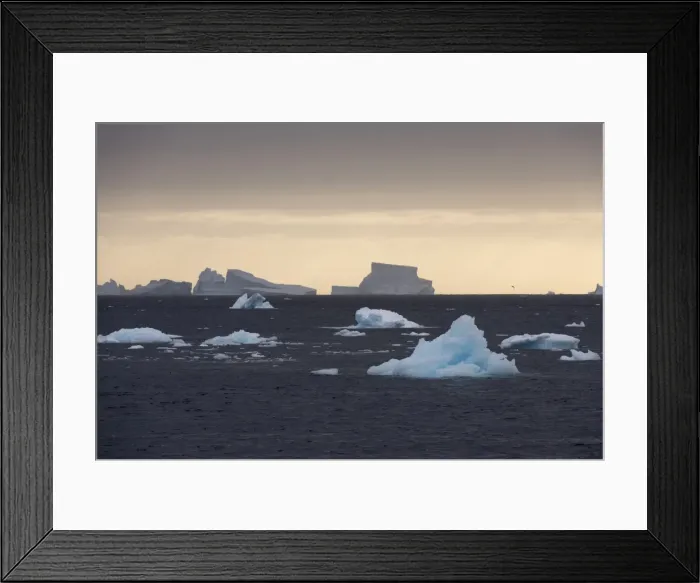 Framed Print : Icebergs, Lemaire Channel, Antarctica, Polar Regions