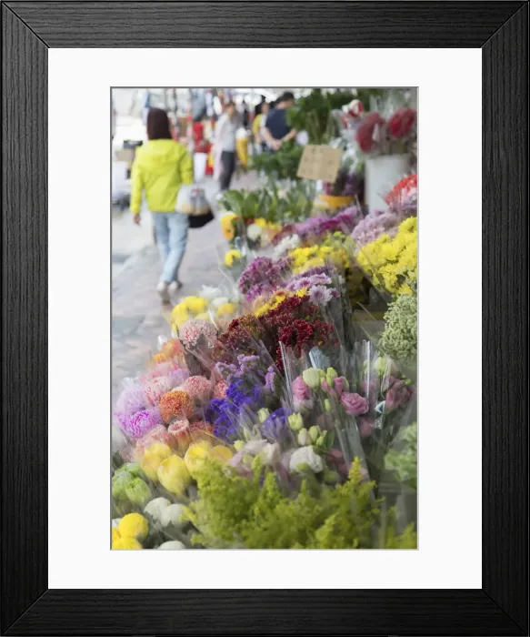 Framed Print : Flower Market, Mongkok, Kowloon, Hong Kong, China, Asia Framed Print : Flower Market, Mongkok, Kowloon, Hong Kong, China, Asia