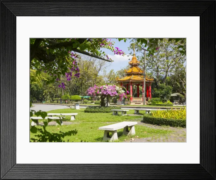 Framed Print : Lumphini Park, Ratchadamri Road, Bangkok, Thailand, Southeast Asia, Asia Framed Print : Lumphini Park, Ratchadamri Road, Bangkok, Thailand, Southeast Asia, Asia