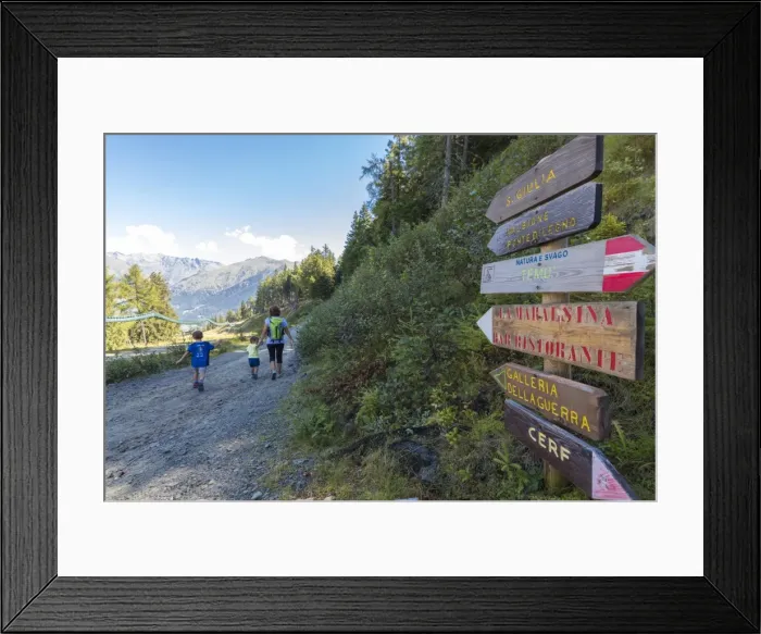Framed Print : Hikers walk on the alpine path surrounded by woods, Ponte Di Legno, Camonica Valley Framed Print : Hikers walk on the alpine path surrounded by woods, Ponte Di Legno, Camonica Valley