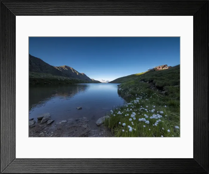 Framed Print : View of Rifugio Bozzi framed by cotton grass and blue lake, Val Di Viso, Camonica Valley Framed Print : View of Rifugio Bozzi framed by cotton grass and blue lake, Val Di Viso, Camonica Valley