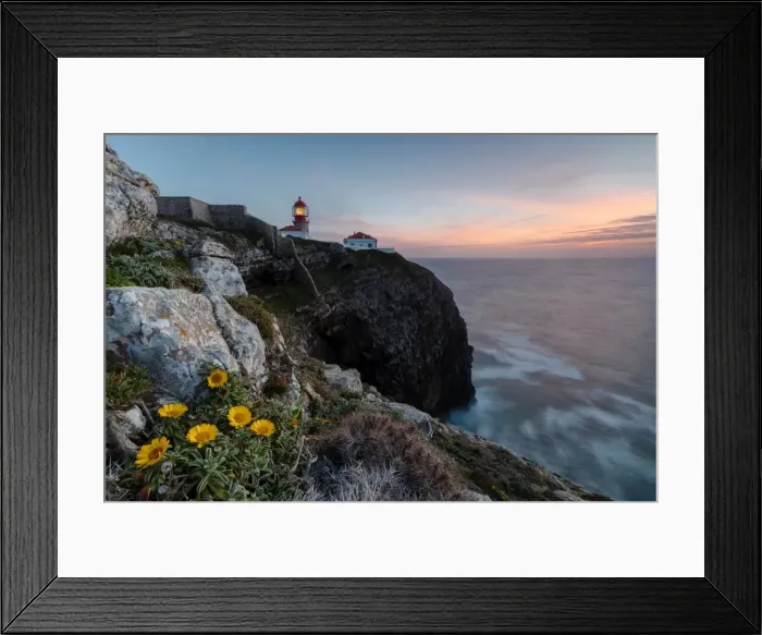Framed Print : Pink sky at sunset and yellow flowers frame the lighthouse, Cabo De Sao Vicente, Sagres Framed Print : Pink sky at sunset and yellow flowers frame the lighthouse, Cabo De Sao Vicente, Sagres