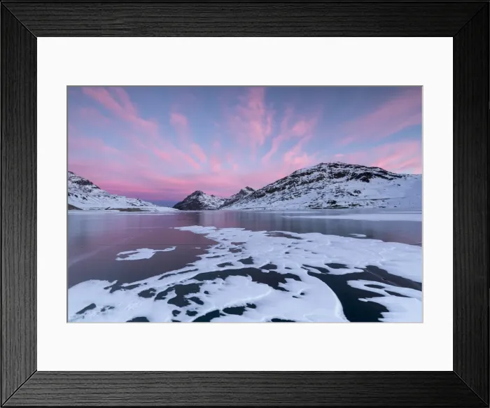 Framed Print : The frozen Lago Bianco framed by pink clouds at dawn, Bernina Pass, canton of Graubunden Framed Print : The frozen Lago Bianco framed by pink clouds at dawn, Bernina Pass, canton of Graubunden