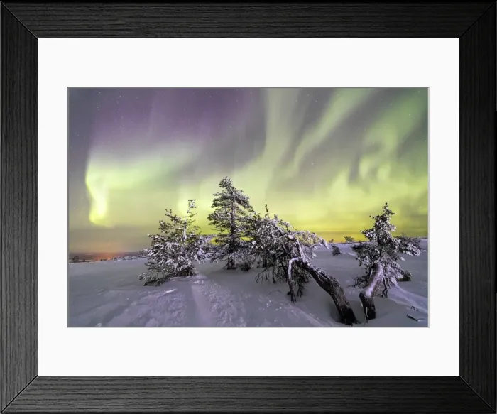Framed Print : Northern Lights (Aurora Borealis) and starry sky on the snowy landscape and the frozen trees Framed Print : Northern Lights (Aurora Borealis) and starry sky on the snowy landscape and the frozen trees