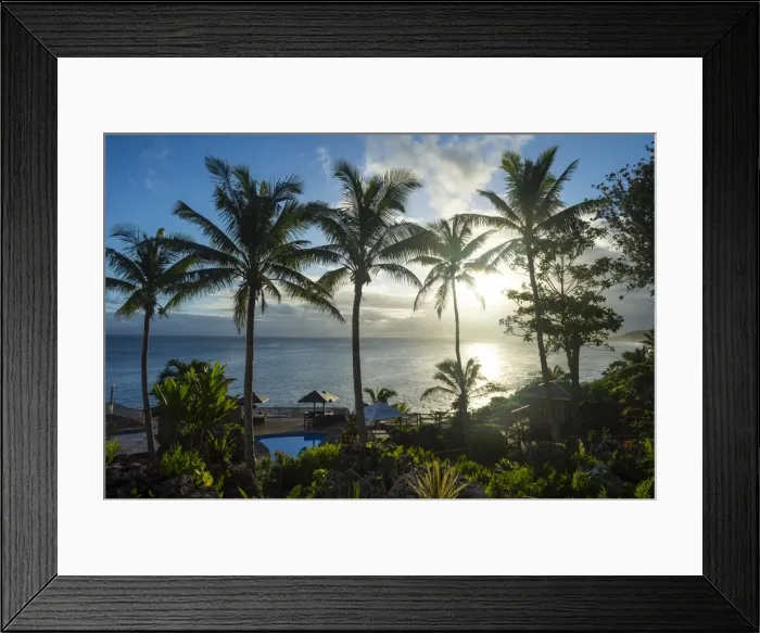 Framed Print : Palm trees in backlight in Niue, South Pacific, Pacific Framed Print : Palm trees in backlight in Niue, South Pacific, Pacific