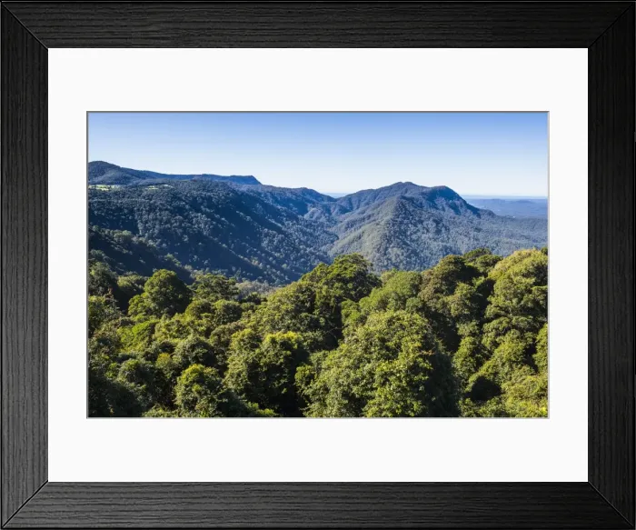 Framed Print : Dorrigo National Park, UNESCO World Heritage Site, New South Wales, Australia, Pacific Framed Print : Dorrigo National Park, UNESCO World Heritage Site, New South Wales, Australia, Pacific