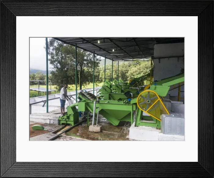 Framed Print : Coffee grinding machines in a coffee factory in Maubisse, East Timor, Southeast Asia Framed Print : Coffee grinding machines in a coffee factory in Maubisse, East Timor, Southeast Asia