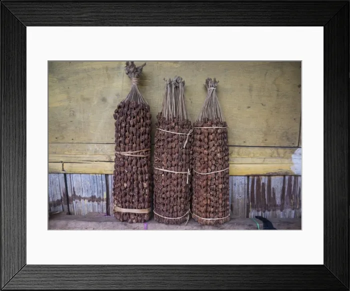 Framed Print : Betel nut (Areca catechu) for sale in a market in Maubisse, East Timor, Southeast Asia Framed Print : Betel nut (Areca catechu) for sale in a market in Maubisse, East Timor, Southeast Asia