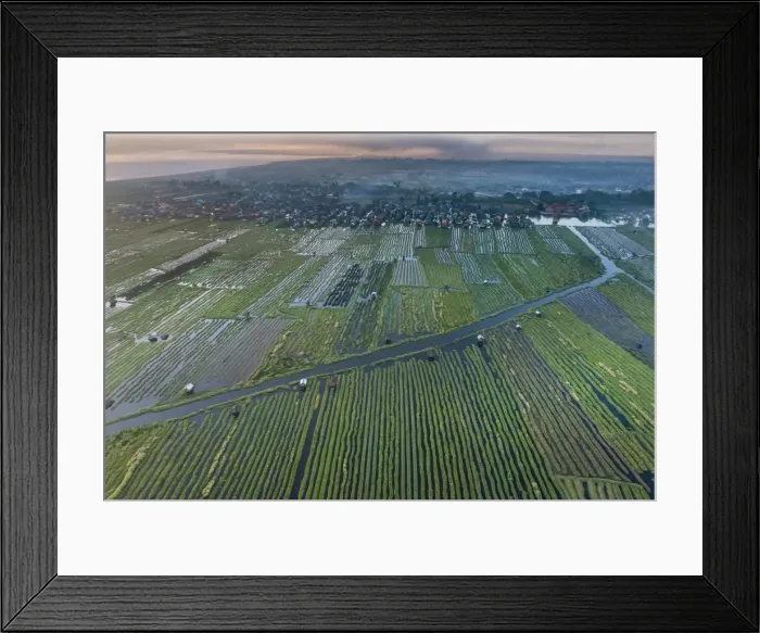 Framed Print : Inle Lake, Shan State, Myanmar (Burma), Asia Framed Print : Inle Lake, Shan State, Myanmar (Burma), Asia