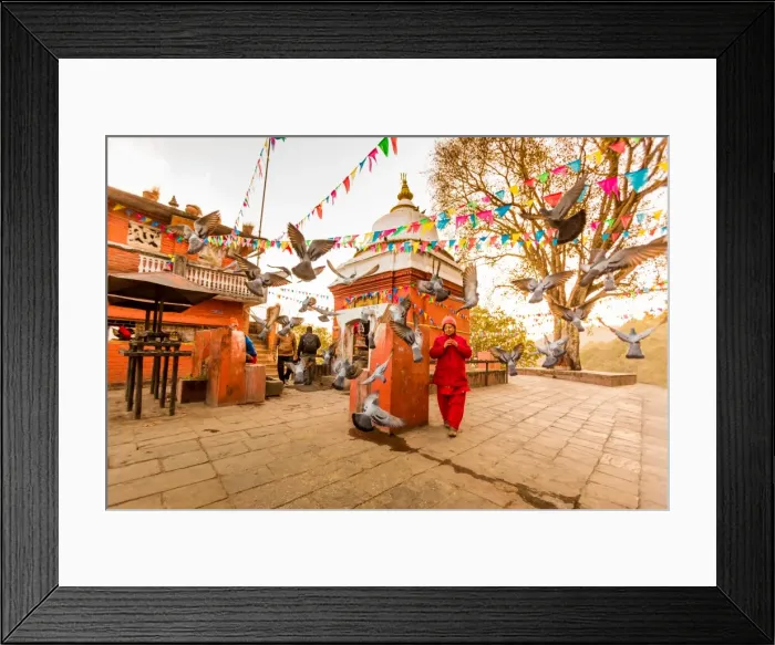 Framed Print : Woman walking and praying with pigeons at the hilltop temple, Bhaktapur, Kathmandu Valley Framed Print : Woman walking and praying with pigeons at the hilltop temple, Bhaktapur, Kathmandu Valley
