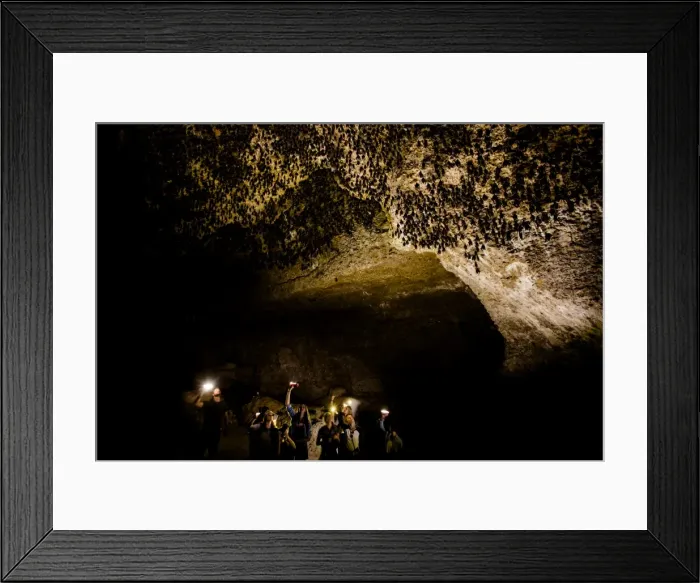Framed Print : Cavers shining lamps on bats in Pokhara Bat Caves, Pokhara, Nepal, Asia Framed Print : Cavers shining lamps on bats in Pokhara Bat Caves, Pokhara, Nepal, Asia