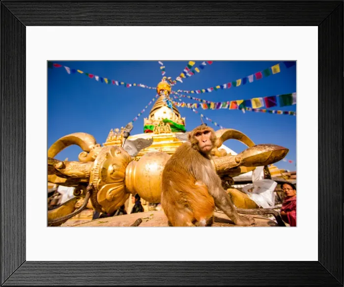 Framed Print : Sacred Monkey Temple (Swayambhunath Temple), UNESCO World Heritage Site, Kathmandu Framed Print : Sacred Monkey Temple (Swayambhunath Temple), UNESCO World Heritage Site, Kathmandu