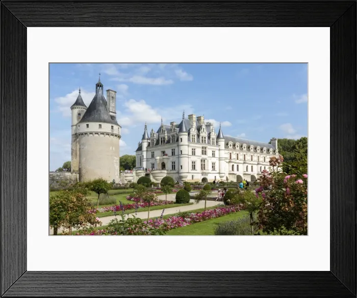 Framed Print : Summer flowers in the park of Chenonceau castle, UNESCO World Heritage Site, Chenonceaux Framed Print : Summer flowers in the park of Chenonceau castle, UNESCO World Heritage Site, Chenonceaux