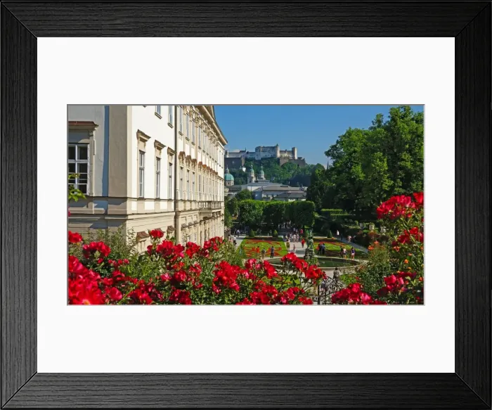 Framed Print : Mirabell Gardens against Fortress Hohensalzburg, Salzburg, Austria, Europe Framed Print : Mirabell Gardens against Fortress Hohensalzburg, Salzburg, Austria, Europe