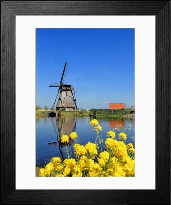 Framed Print : Windmill in Kinderdijk, UNESCO World Heritage Site, South Holland, Netherlands, Europe Framed Print : Windmill in Kinderdijk, UNESCO World Heritage Site, South Holland, Netherlands, Europe