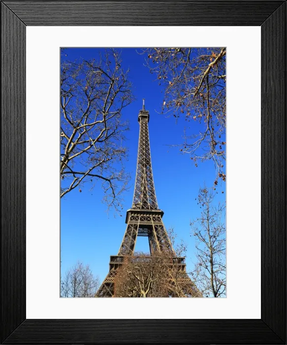 Framed Print : Eiffel Tower, Paris, Ile de France, France, Europe Framed Print : Eiffel Tower, Paris, Ile de France, France, Europe