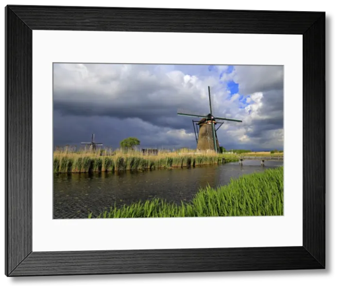 Framed Print : Windmills in Kinderdijk, UNESCO World Heritate Site, South Holland, Netherlands, Europe Framed Print : Windmills in Kinderdijk, UNESCO World Heritate Site, South Holland, Netherlands, Europe