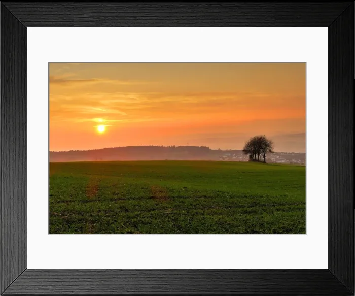 Framed Print : Sunset and field, Rhineland-Palatinate (Rheinland-Pfalz), Germany, Europe Framed Print : Sunset and field, Rhineland-Palatinate (Rheinland-Pfalz), Germany, Europe